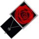 thumbnail image 5 of Preserved Red Real Rose With I Love You Necklace In 100 Languages Enchanted Flower Gifts For Mom Wife Girlfriend, 5 of 5