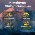 thumbnail image 4 of Balincer Pure Himalayan Shilajit Herbal Gold Gummies, for Energy & Vitality, 3000 mg, 80 Count, 4 of 7