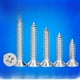 thumbnail image 1 of Tornillo de acero inoxidable con cabeza avellanada, tornillo autorroscante de cabeza plana en cruz, tornillo autorroscante de cabeza avellanada m3/m4, 1 of 2