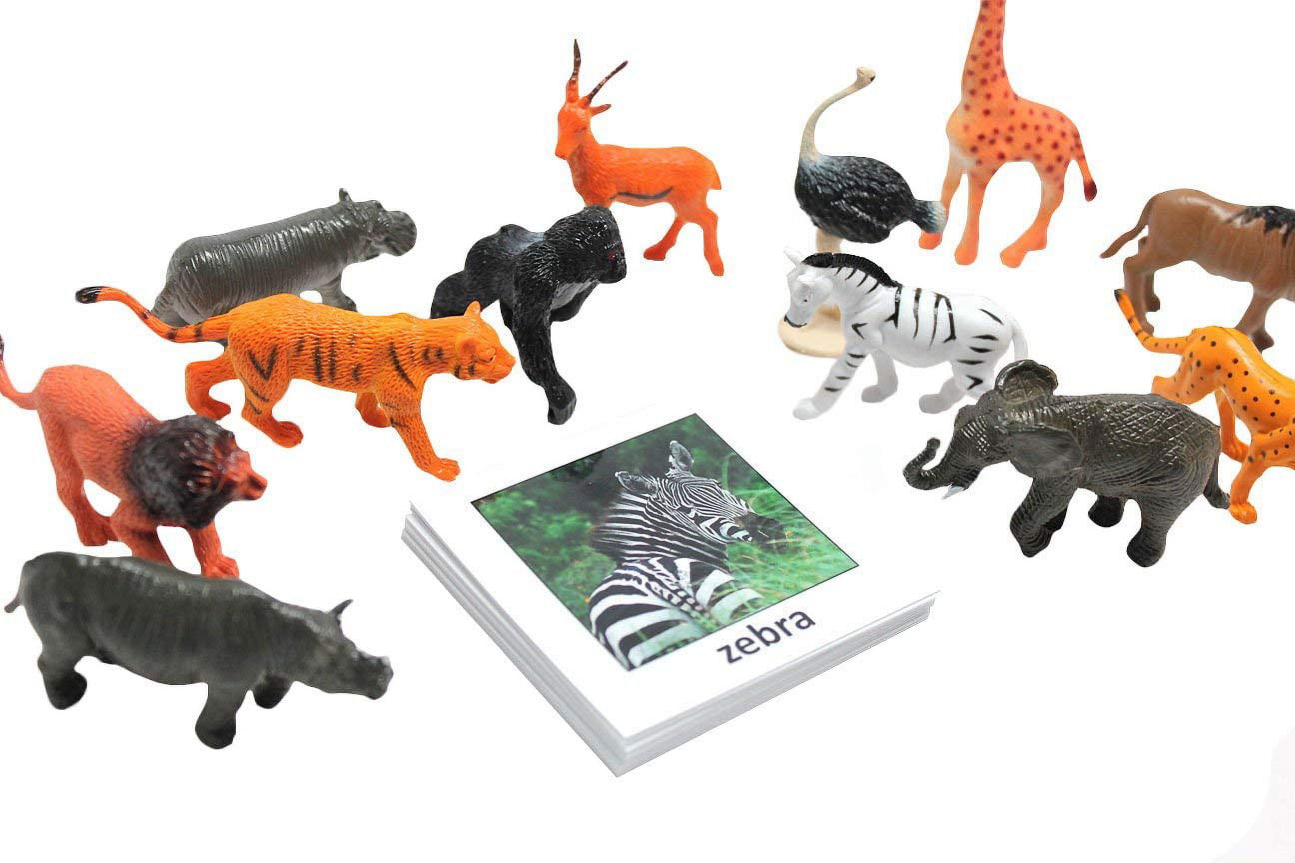 ZCSXK correspondance d'animaux Montessori | Cartes éducatives avec animaux  miniatures - Cartes Montessori Animal Match en papier, sûres et