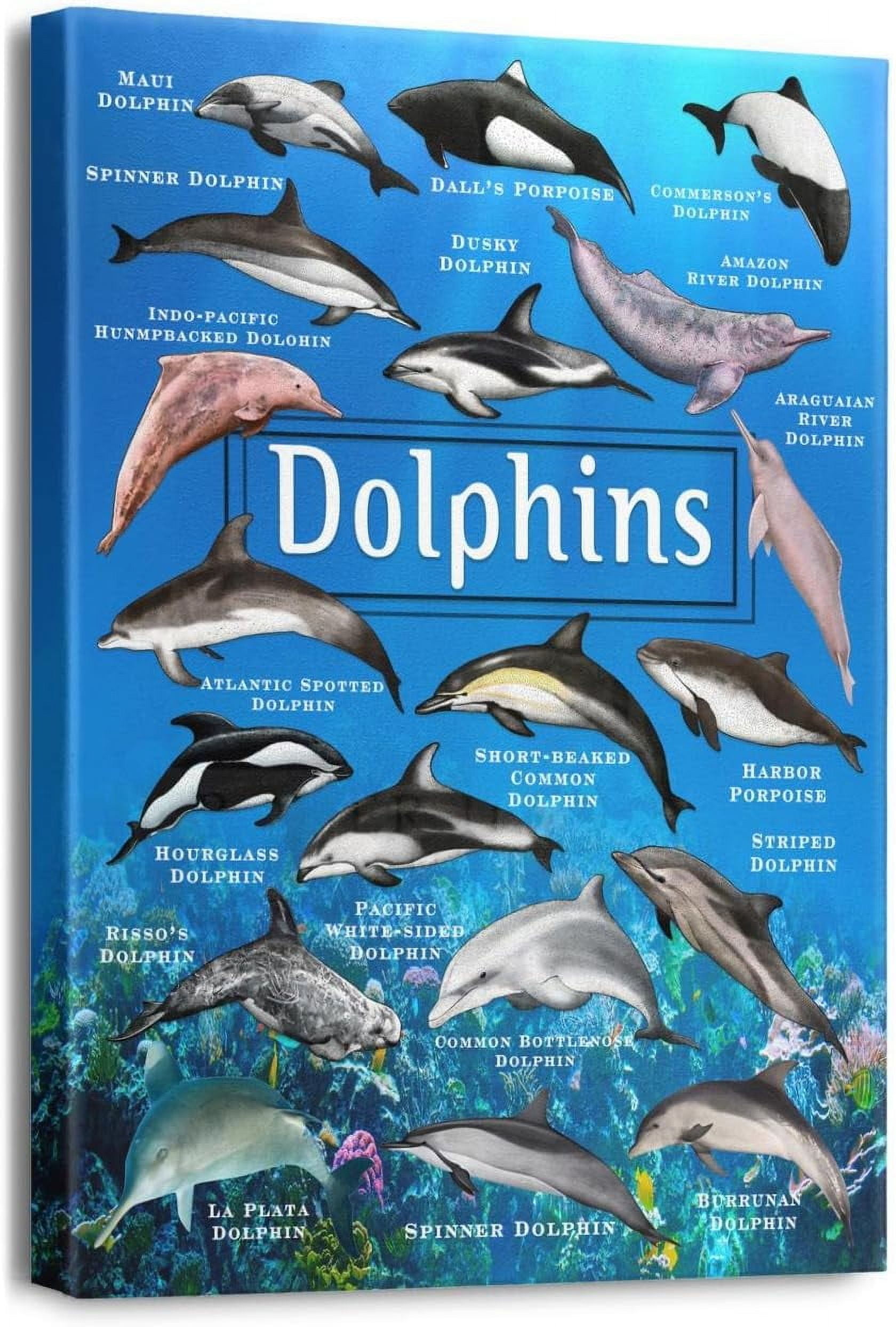 Dolphin Wall Art Wall Decor for Living Room Home