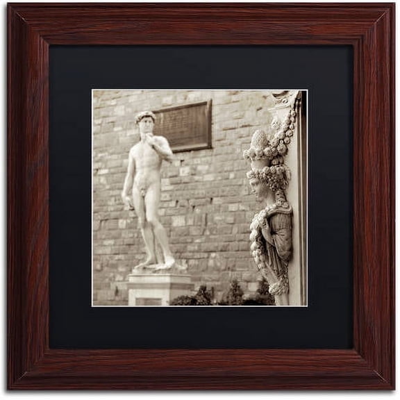 Trademark Fine Art "Firenze IV" Canvas Art by Alan Blaustein, Black Matte, Wood Frame