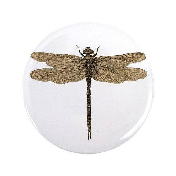 CafePress - Dragonfly Vintage 3.5 Button - 3.5" Button