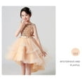 thumbnail image 3 of Girl Sequin Tulle Wedding Party Dress Bridesmaid Birthday Pageant Ball Gown, 3 of 7