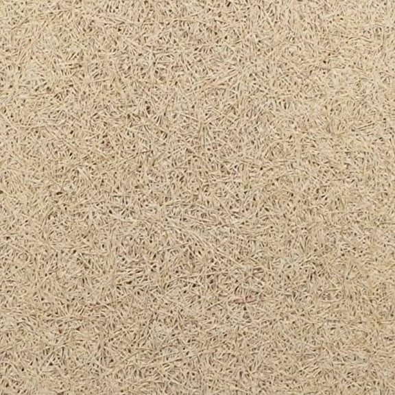 Envirocoustic Wood Wool 1" x 24" x 48" Panel - 4 Pack - Primed Clear$$Music