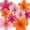Pink,Orange,Rose Red, variant on FWSA WRAPS Pastel Paper Flowers Decorations For Wall,Hanging Fans Floral Backdrop Decoration,Set of 9 Blue,Pink,Purple,Yellow