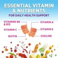 thumbnail image 3 of Multivitamin Gummies for Adults - Complete Multivitamin Gummy for Women & Men - Essential Vitamins & Minerals with Vitamins A, C, D, E, & High Potency B12 - Vegetarian Gummy Multivitamins, 60 Gummies, 3 of 9