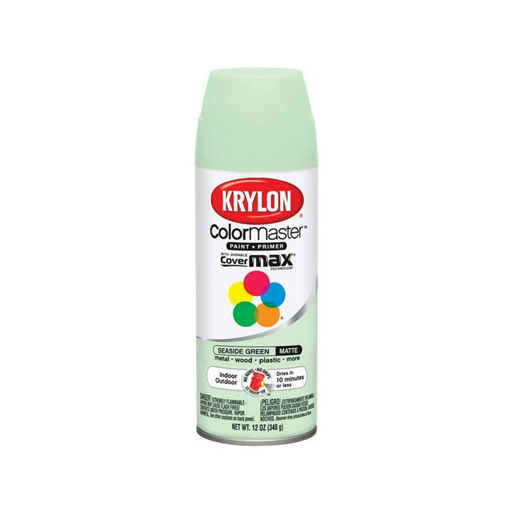 Krylon ColorMaster Matte Seaside Green Spray Paint 12 oz.