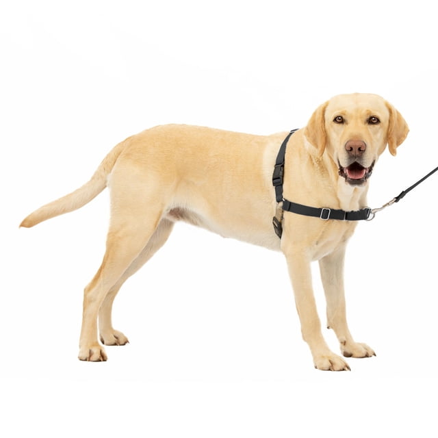 PetSafe - Arnés para perros Easy Walk, grande, negro y plateado