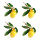 thumbnail image 1 of 4pcs Aleación de la aleación Hebillas de la servilleta con forma de limón Hebillas de servilletas Anillos de servilleta Adorno, 1 of 7