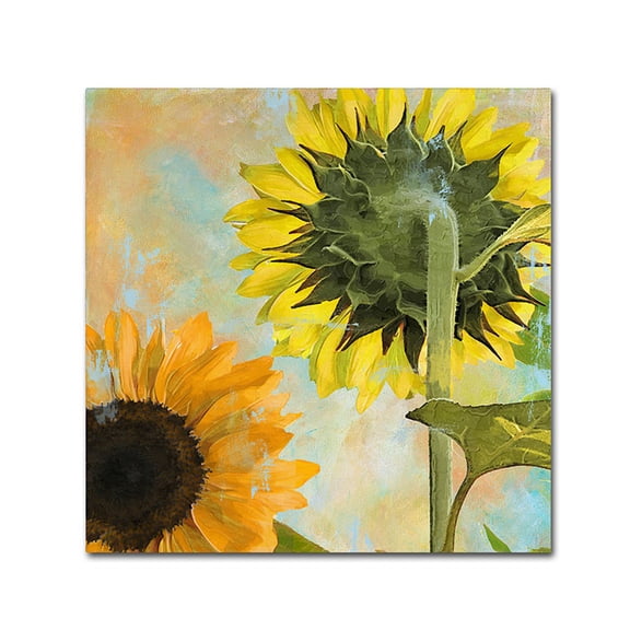 Trademark Fine Art "Soleil II" Canvas Art by Color Bakery