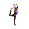thumbnail image 4 of Latex-Free TPR Flat Band Set (3) - 6' Long, 5" Wide with Training Manual, 4 of 5