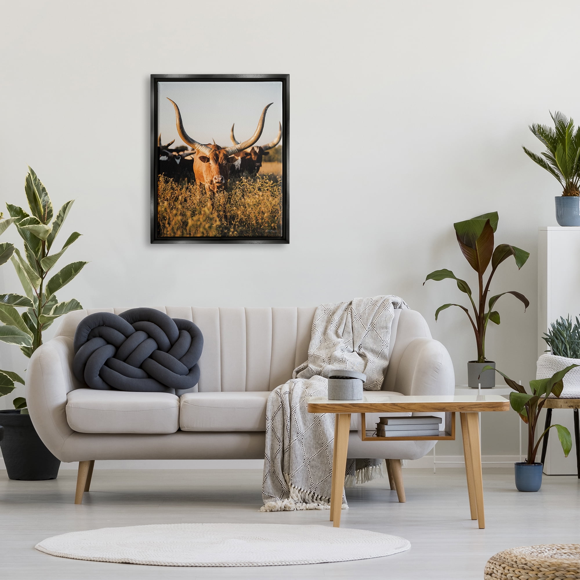 Stupell Industries Longhorn Herd Photography Animals & Insects Photography Black Floater Framed Canvas Art Print Wall Art, 25 x 31
