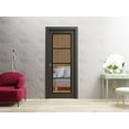 thumbnail image 5 of Slab Barn Door Panel 30 x 84 inches | Lucia 2466 Matte Black Clear Glass | Sturdy Finished Interior Doors | Pocket Closet Sliding, 5 of 6