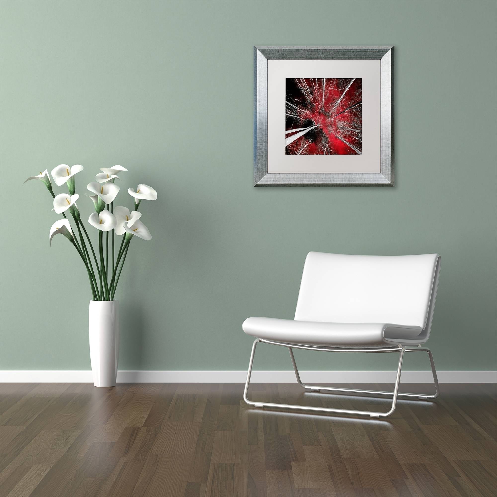 Trademark Fine Art "I Can't Believe It" Canvas Art by Philippe Sainte-Laudy White Matte, Silver Frame