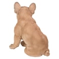 thumbnail image 3 of Hi-Line Gift 87765-B French Bulldog Squatting Statue, 3 of 5