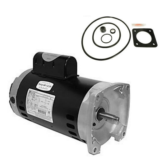 Puri Tech Replacement Motor Kit for Sta-Rite Dura-Glas 2HP P2R5G Century SQ1202 with GO-Kit-54