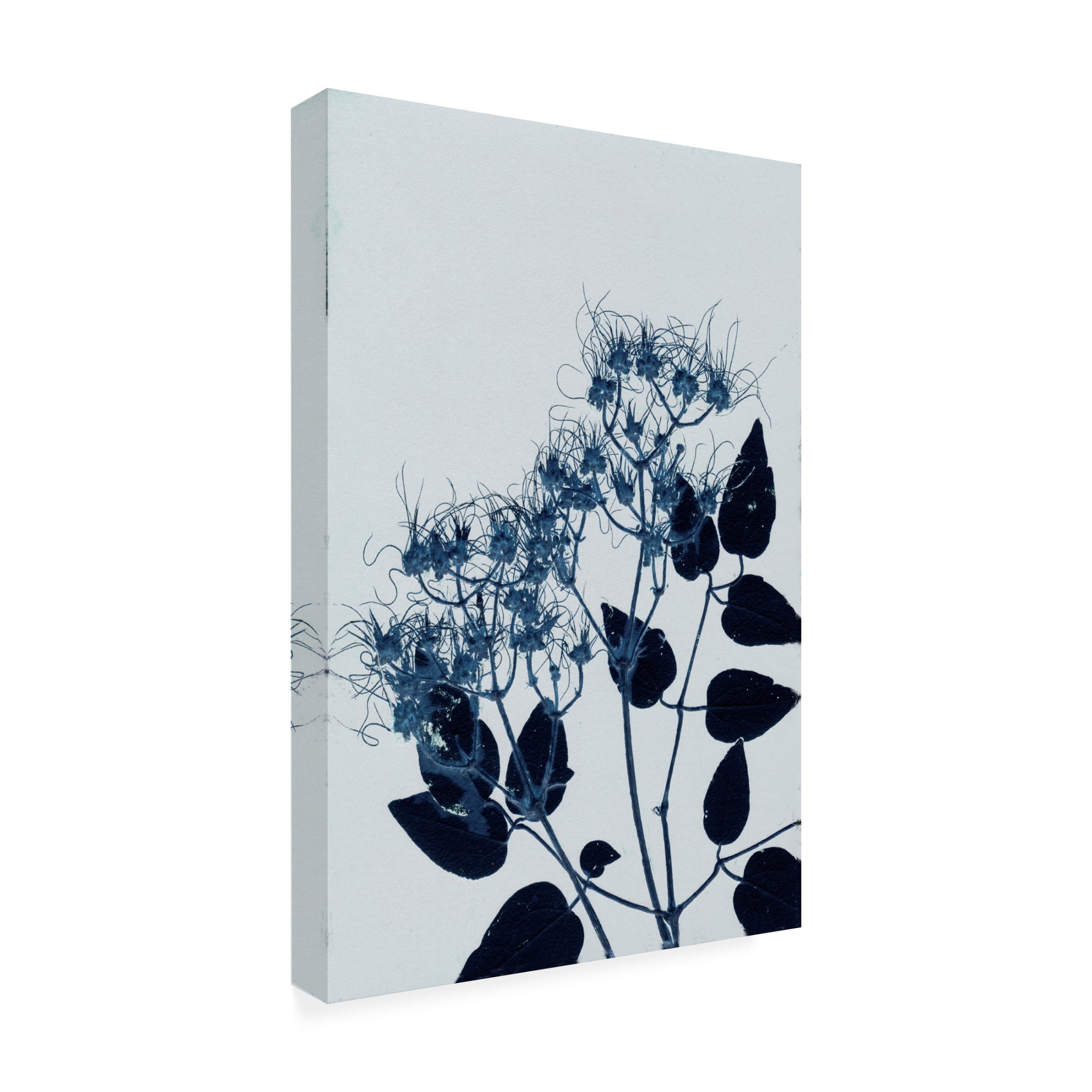 Canvas Wall Art - Pernille Folcarelli 'Clematis 1 Blue' Wall Art for Living Room, Bedroom, or Office Décor by Trademark Fine Art - 22 x 32 Inches
