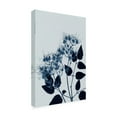 thumbnail image 4 of Canvas Wall Art - Pernille Folcarelli 'Clematis 1 Blue' Wall Art for Living Room, Bedroom, or Office Décor by Trademark Fine Art - 12 x 19 Inches, 4 of 4