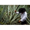 thumbnail image 2 of Mezcal Artesanal Espad&iacute;n, 2 of 2