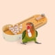 thumbnail image 3 of Juguetes de entrenamiento de pájaros Skylety, 10 piezas, para loros y periquitos, 3 of 7