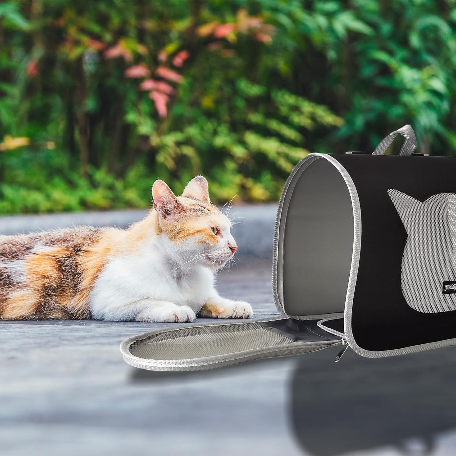 XZKING ​Cat Backpack Carrier, Small Dog Traveler Carrier Backpack for Medium Large Cats, Foldable Ventilated Backpack with Thick Shoulder Strap, Airline Approved, Hiking (12lb) Green