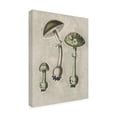 thumbnail image 4 of Trademark Fine Art Pictufy   Amanita Muscaria Remix Green Canvas Wall Art, 4 of 4