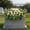 White, variant on Cemetery Simulation Flower, Large Artificial Cemetery Flower, Artificial Satin Saddle Flower Commemorative Tombstone Decoration, Cemetery Commemorative Flower Outdoor Tombstone Decoration (Pink)
