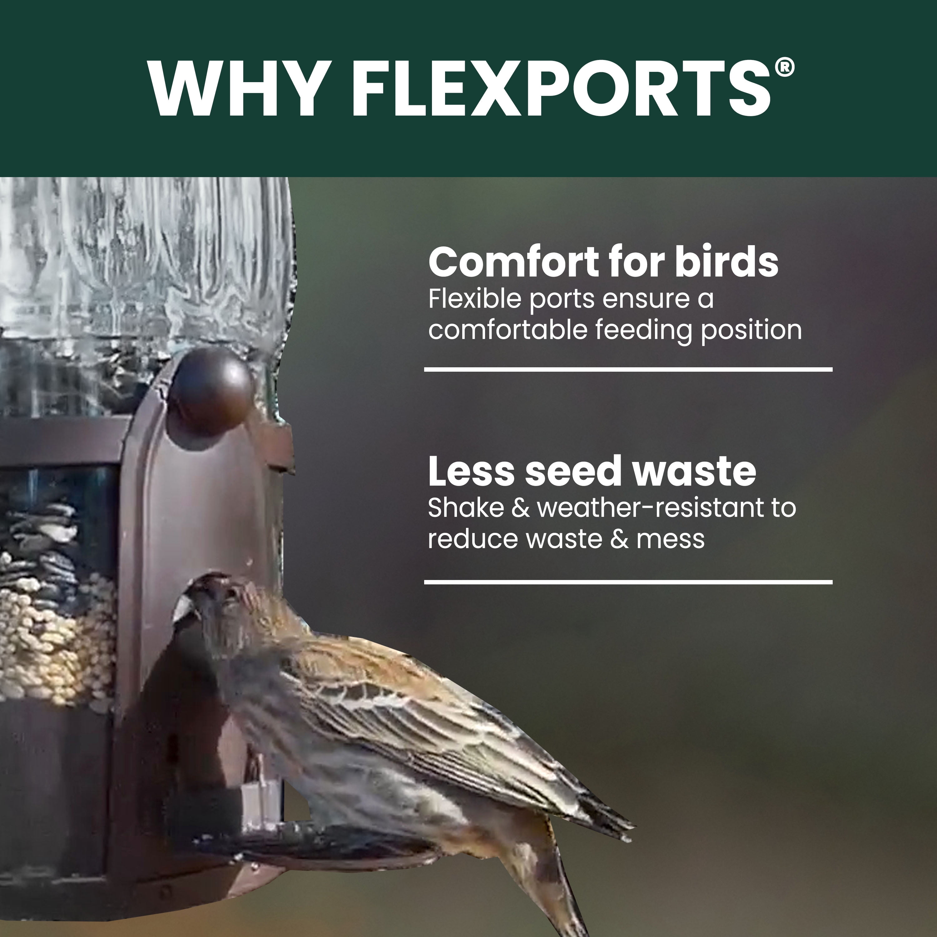 Perky-Pet 334-1SR Squirrel-Be-Gone Max Large Wild Bird Feeder with Flexports, Squirrel Proof Bird Feeder with Weight-Activated Perches - 4LB Seed Capacity