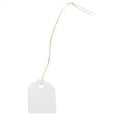 View all media