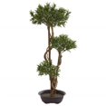 thumbnail image 1 of Nearly Natural 5556 Sapin Artificiel de Podocarpe Style Bonsaï 46 Po, 1 of 1