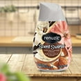 thumbnail image 3 of Renuzit Vanilla, Apricot Blossom, & Almond Cone Air Freshener, 7 oz, 3 of 5