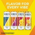 thumbnail image 7 of Vizzy Lemonade Variety Pack, 12 Pack, 12 fl oz Aluminum Cans, 5.0% ABV, 7 of 7