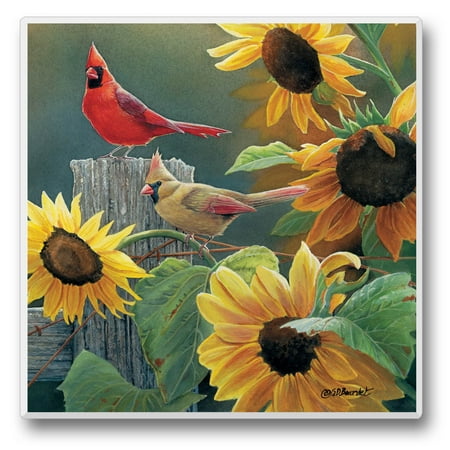 

Absorbent Stone Tumbled Tile Coasters Take Flight 9 Set of 4