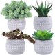 thumbnail image 1 of 4 piezas surtidas de plantas suculentas en macetas artificiales pequeñas Sedum Echeveria en macetas de cerámica de hormigón gris con patrón geométrico para regalo de recuerdo de fiesta, 1 of 3