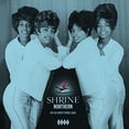thumbnail image 3 of Various Artists - Shrine Northern: 60s Rarest Dance Label / Various - Music & Performance - Vinyl, 3 of 4