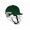 GREEN, variant on Shrey KOROYD STEEL Cricket Helmet