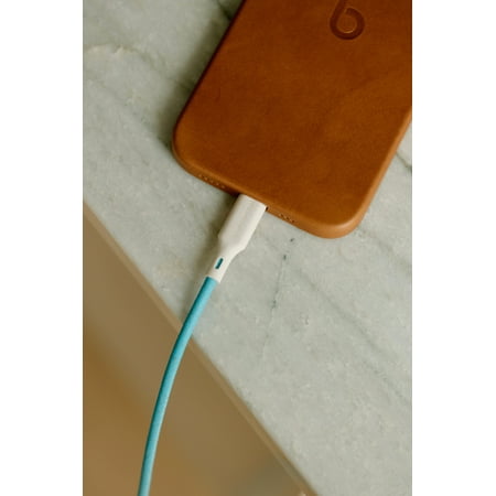 Bluebonnet - 4' USB-C to Lightning Charging Cable - Blue