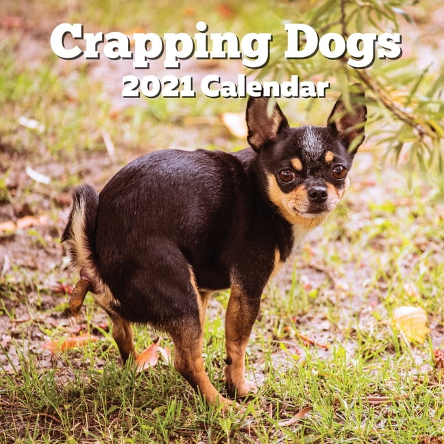 Crapping Dogs 2021 Calendar : Funny Gag Joke Gifts for Dog Lovers ...