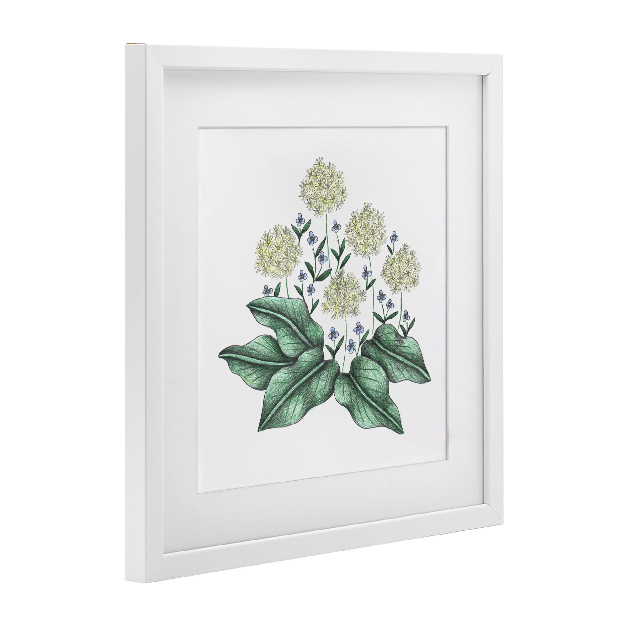Hello Wildflower Vintage Sketch White Framed Print Under Glass, design by Cecilia Battaini