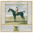 thumbnail image 2 of Portrait and Pedigree, Fearnought Poster Print by Thomas Spencer (24 x 24), 2 of 2
