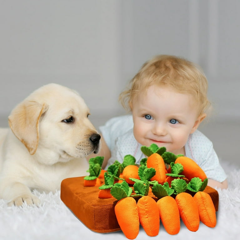 Pet Supplies : Utoimkio Carrot Farm Dog Toys - Dog Puzzle Toys, Plush Dog  Pet Carrot Chewing Toys for Puppy Small Dogs, Pet Plush Training Toys, Dog  Enrichment Toys, Promote Natural Foraging