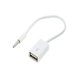 thumbnail image 1 of Cable de entrada auxiliar de 15 cm Conector jack de 3,5 mm a toma USB 2.0, 1 of 4