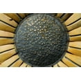 thumbnail image 6 of 303 30308 303 Aerospace Protectant, 16-oz. - Quantity 6, 6 of 15