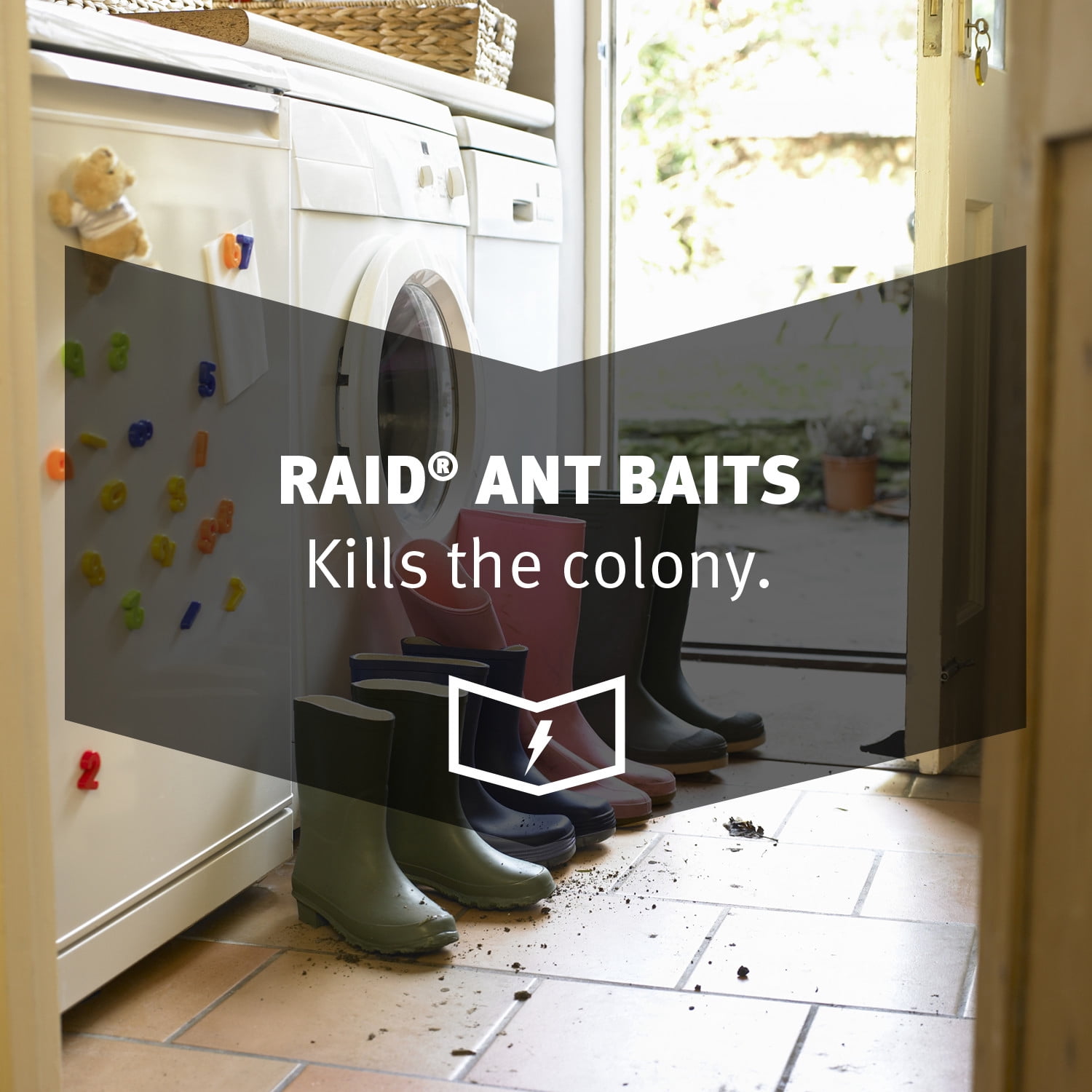 Raid Ant Baits, 8 count, 0.48 oz