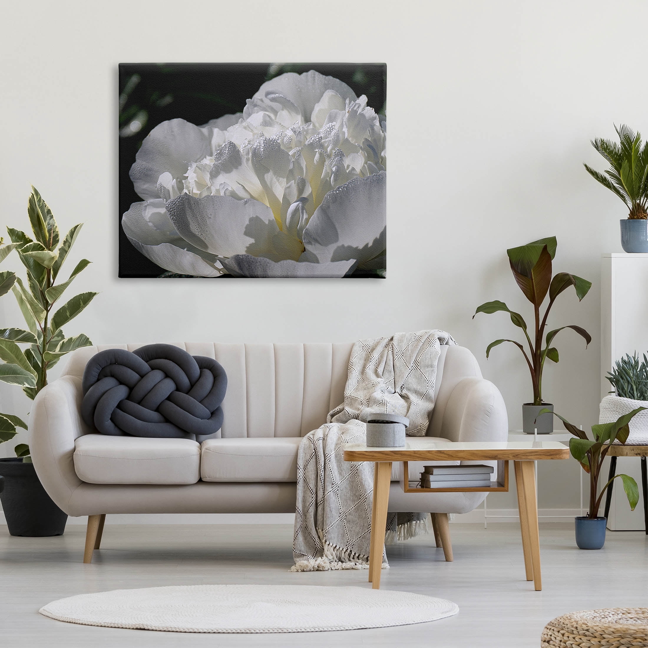 Blooming White Petals Photography Botanical & Floral Photograph Gallery Wrapped Canvas Print Wall Art