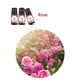 thumbnail image 5 of Maojin perfumes para caballero Oil Aromatherapy Therapeutic Grade Water Soluble Aroma 10ML, 5 of 6