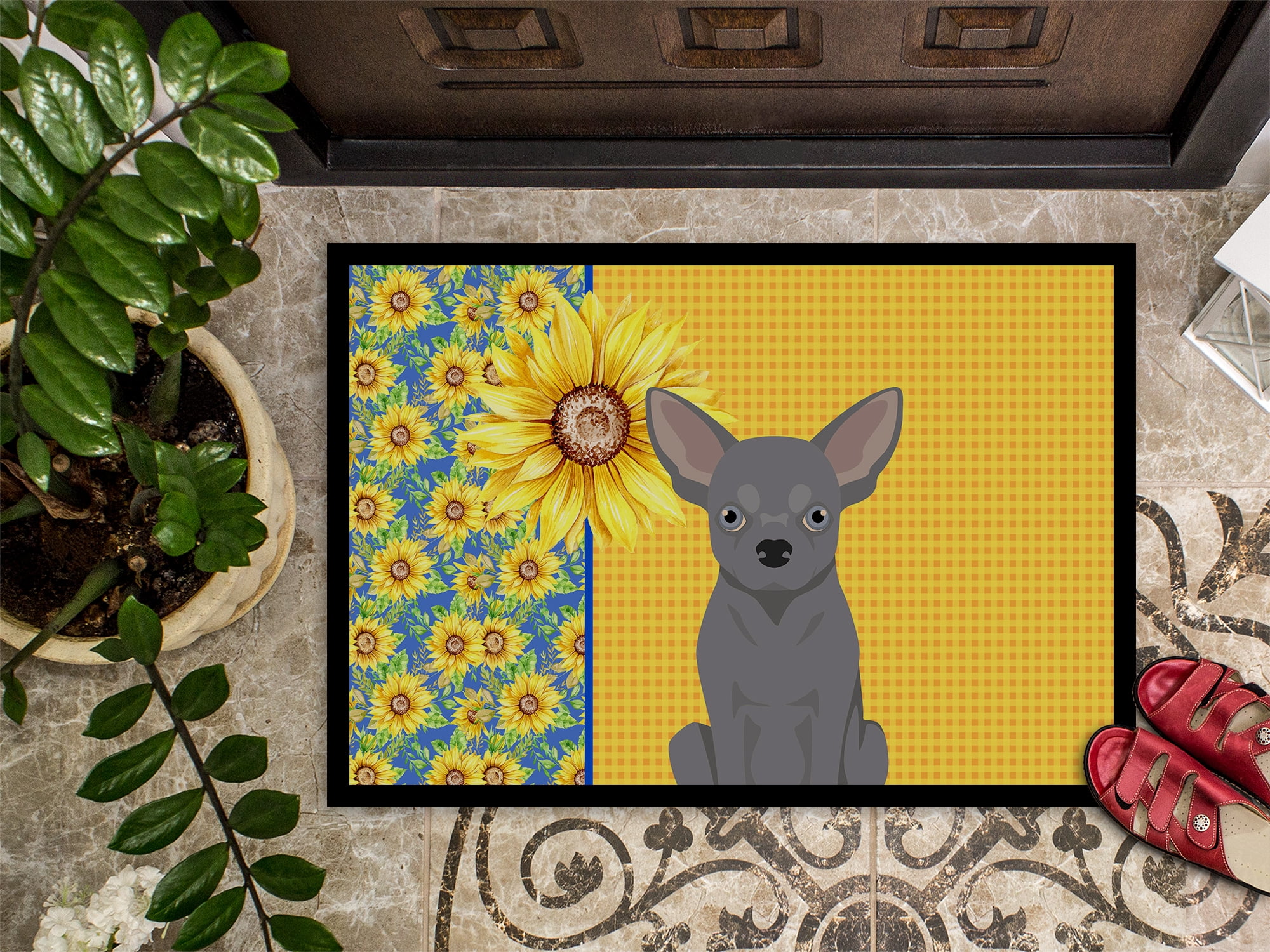 Carolines Treasures WDK5378JMAT 24 x 36 in. Summer Sunflowers Blue Chihuahua Indoor or Outdoor Mat