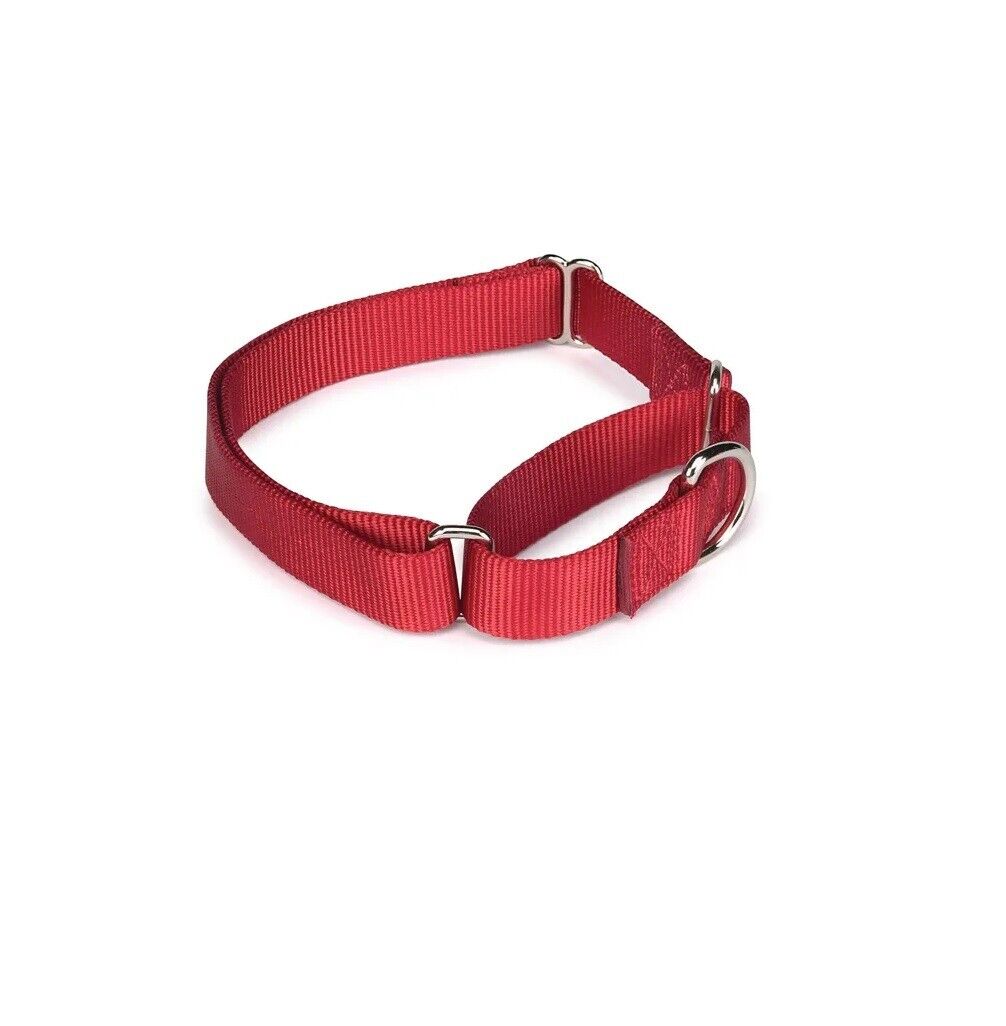 Bulk Wholesale Nylon Martingale Collars Shelter Rescue Vet Makes Great Donations (25 Collars 18 to 26 Inch)