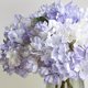 thumbnail image 2 of Xiao Hua piezas de flores artificiales de seda de hortensia de lavanda de 14,2 pulgadas, tallos de hortensia falsos para centro de mesa de boda, hogar y jardín., 2 of 5